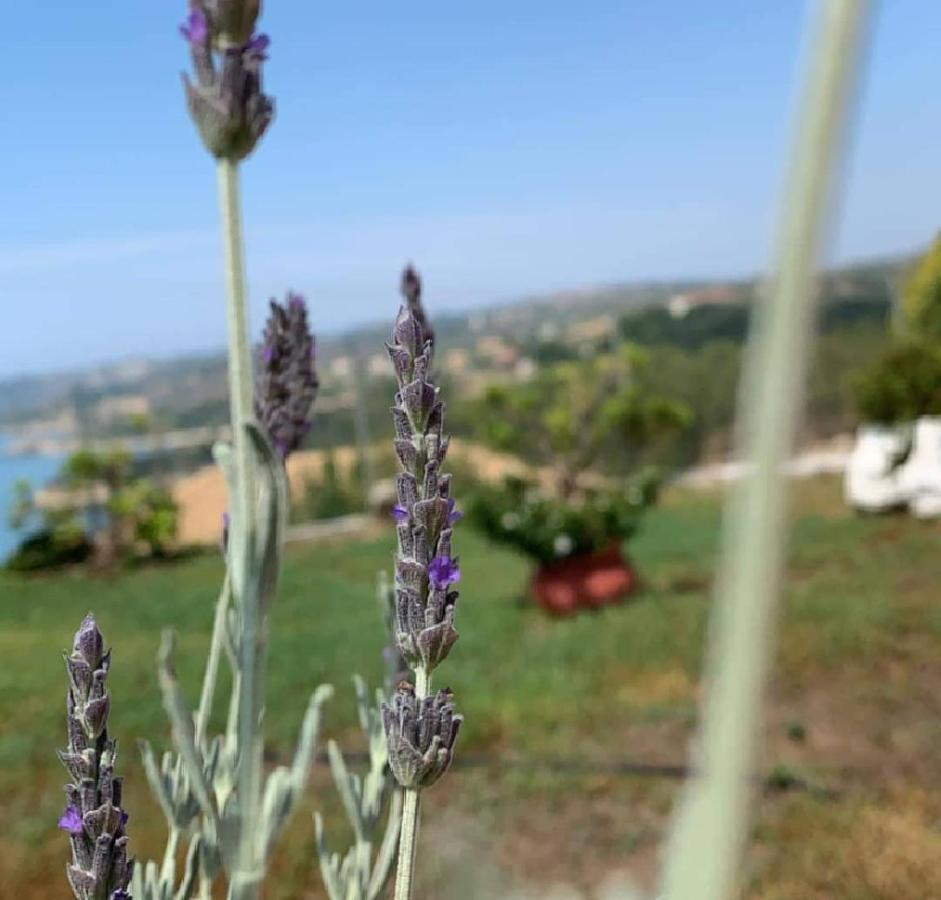 Maria Anastasia Studios Trapezaki (Kefalonia) Exterior foto