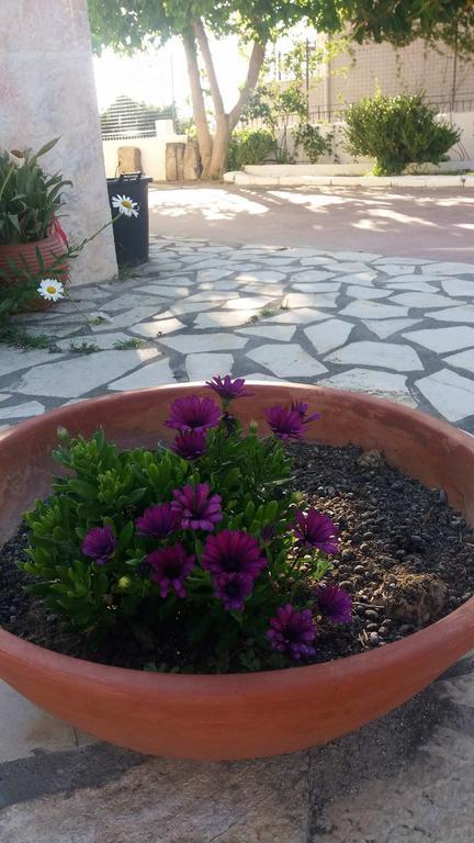 Maria Anastasia Studios Trapezaki (Kefalonia) Exterior foto